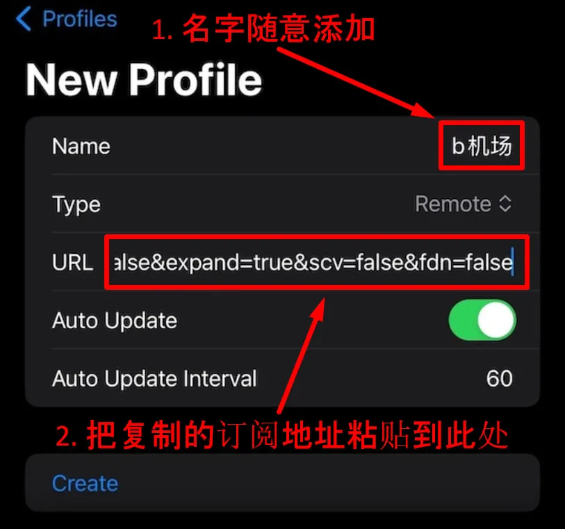 New Profile:Type 选 Remote,URL 粘贴订阅地址
