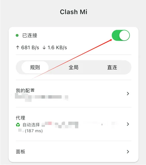 连接成功：开关变绿并显示实时流量
